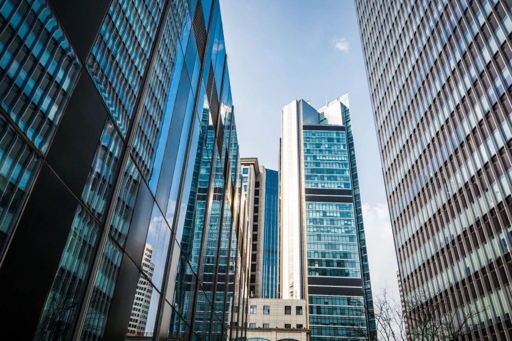 Our Group of Companies